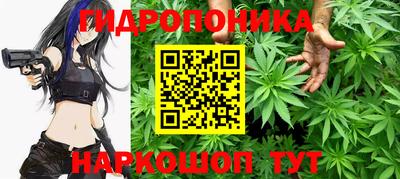 apvp Севастополь